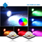 5050 Size 12W RGBW LED Chips For Stage Lights City Lighting LED Landscape Lighting