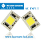 AC 200-240V COB LED Chips DOB 4060 30W 50W For LED Outdoor Light