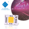 Full Spectrum AC 50w LED COB Chip 200v 240v 4046 AC LED Chip For Grow Light
