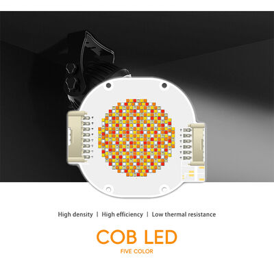 2100W High Efficiency COB LED Chip with 3-Year Warranty and 80-86V Input Voltage for Photography Lighting