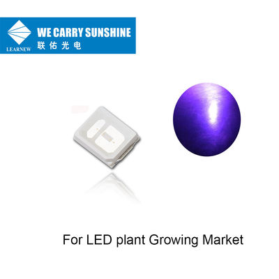 Long life span UVA Led 395-405nm 150-200mW UV LED Chip for LED plant Growing