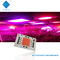 AC 110V 220V 50W 100W Driverless COB LED Chip 380-780nm For Growing / Street Light