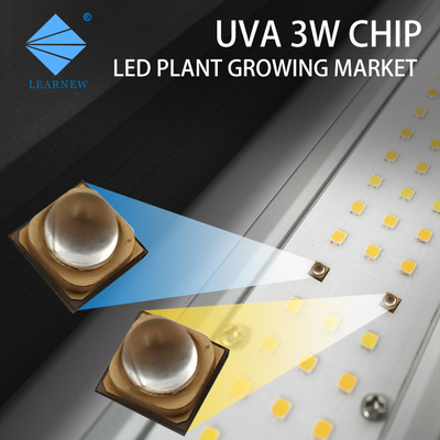 Smd 3535 3838 8025 Uv Led Chip 365nm For Uv Curing