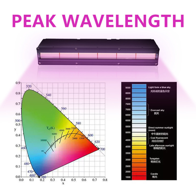 Water Cooling 2500W 395nm UV Curing Lamp System For Inkjet Printing