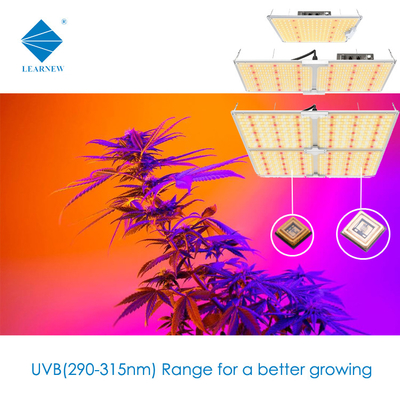 LEARNEW 3W 5W UVB LED Chip 290-315nm High Optical Power 80-120mW For Medical Treatment