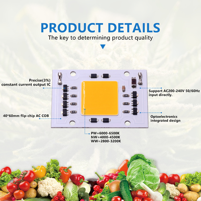 AC 200-240V COB LED Chips DOB 4060 30W 50W For LED Outdoor Light