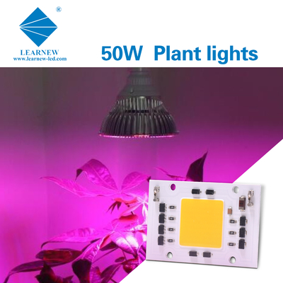 Full Spectrum AC 50w LED COB Chip 200v 240v 4046 AC LED Chip For Grow Light