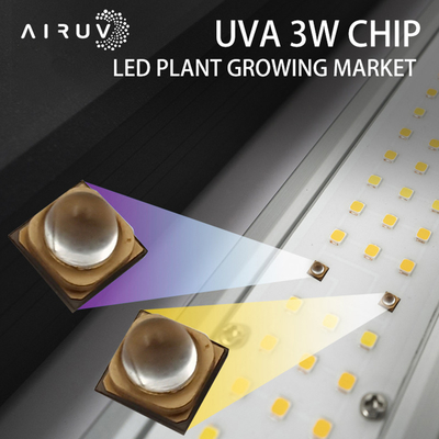 Sell Like Hot Cakes 3838 SMD UVA LED Chip 365-395nm UV Curing Chip Led