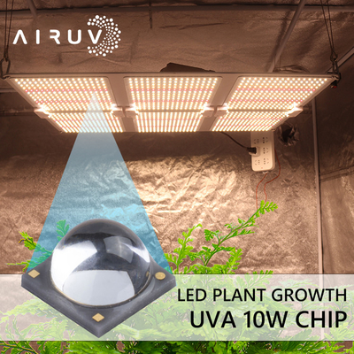10W 365nm 385nm 395nm 6-7V Uva 3W Led Chips For UV Curing