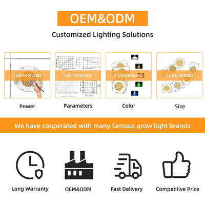 Dual Color COB 6060 Bi Color LED COB Widely Range Color DC 205V 300w+300w LED COB Chip