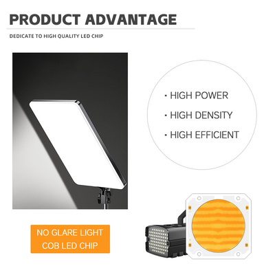 OEM ODM wavelength BI Color 205V smd led chip Warm white + white 6060 SMD LED chips Emitting
