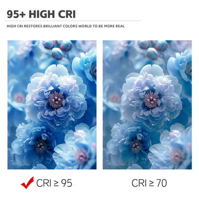 6060 Bi Color 2700K 6500K CCT High Power 300W + 300W COB LED Chip Module for Photography Lamp