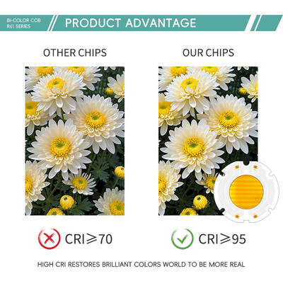 Factory Price 60X60MM Bi Color LED Chips SMD LED Panel Full RGB Color Beads 200W Chip