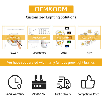 LED COB Chip 200W VF 45V LED Beads DIY Full Spectrum Customizable