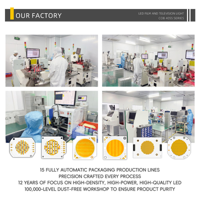 Bi-Color 300W+300W COB LED Chip for Video & Film Lighting Ultra-Brightness Ra95 Warm + Cool White CRI>95Ra Dual Color