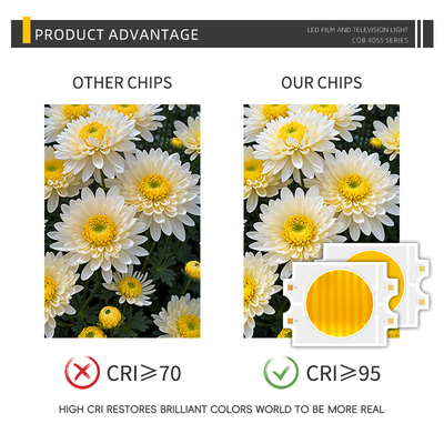 4055 Bi-Color 2700K 6500K High Power 300W+300W COB LED Chip Module for Photography Lamp
