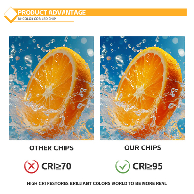 2828 Plate COB LED Double Color Temperature 50W+50W Luminous Surface 20mm