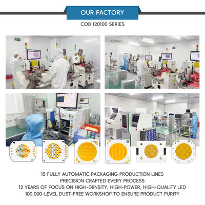 Professional 1200W+1200W Bi-Calor LED COB Chip 70-100lm/w 120*100mm with 2-Year Warranty for Photography Light