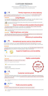 1w 220-235nm 4040 Low Thermal Resistance UVC LED for ICU Hospital Man-Machine Symbiosis  Water Sterilization