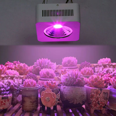 200W Full Spectrum COB LED Grow Light Multi Wavelength Aluminum