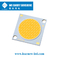 Downlight Wall Lamp 25W-35W 2700-6500K COB LED Chips 19x19MM Super High CRI