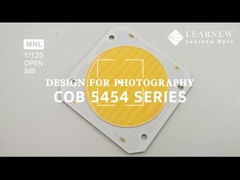 5454 Dual color temperature chip