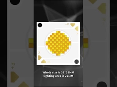 3838 double color COB LED