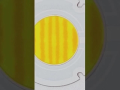 R60mm Bi-color COB Series